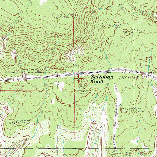Topographic Map of Salvation Knoll, UT