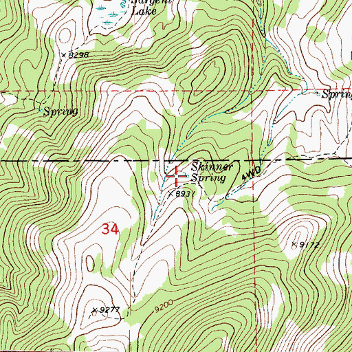 Topographic Map of Skinner Spring, UT