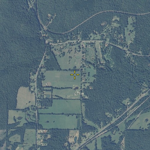 Aerial/Satellite Image of Pruitts Spring, AL