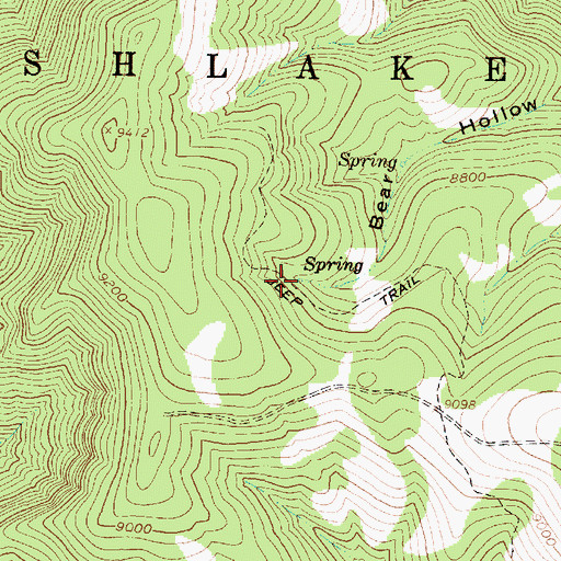 Topographic Map of Bear Hollow Spring, UT