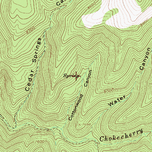Topographic Map of Cottonwood Spring, UT