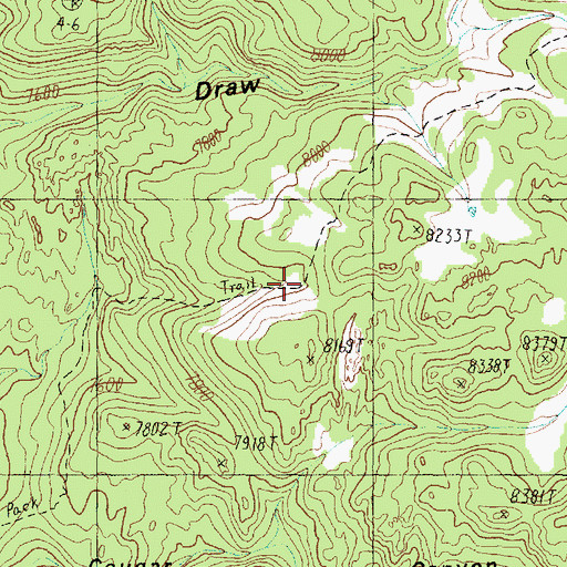 Topographic Map of White Rocks Trail, UT