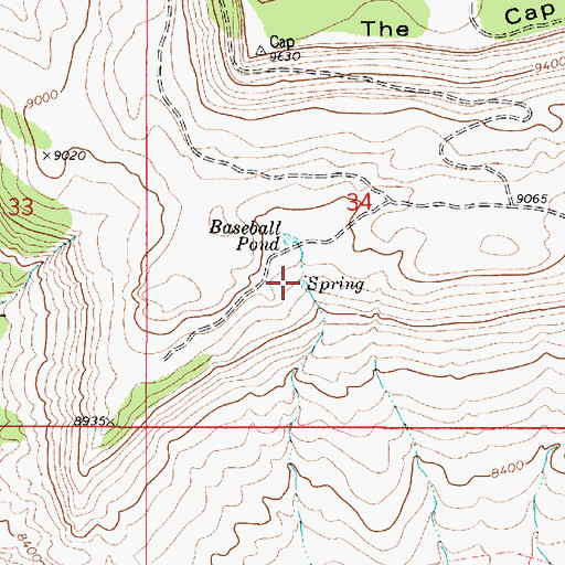 Topographic Map of Baseball Spring, UT