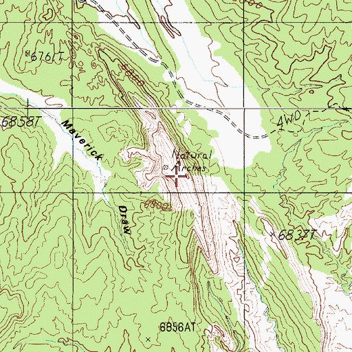 Topographic Map of The Salmon, UT