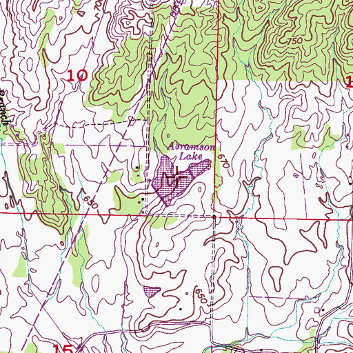 Topographic Map of Abramson Lake, AL