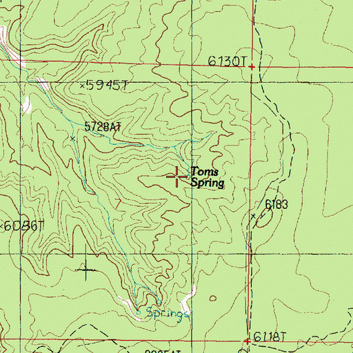 Topographic Map of Toms Spring, UT