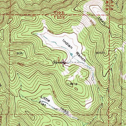 Topographic Map of Indian Spring, UT