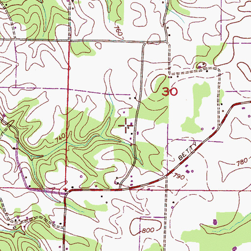 Topographic Map of Hammond Cemetery, AL
