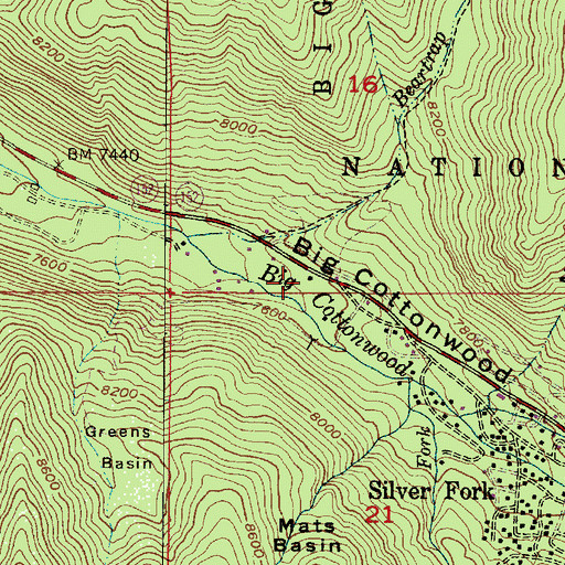 Topographic Map of Pine Tree, UT