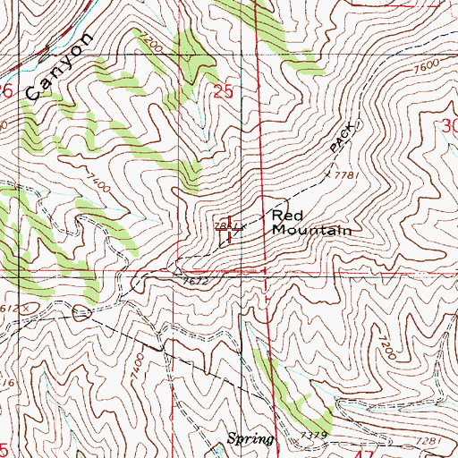 Topographic Map of Red Mountain, UT