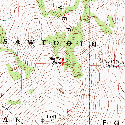 Topographic Map of Big Pole Spring, UT