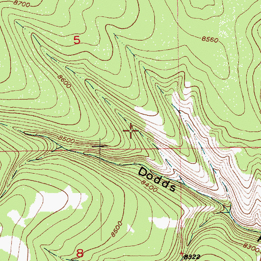 Topographic Map of Dodds Hollow Spring, UT