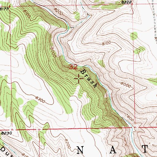 Topographic Map of Freestone Spring, UT