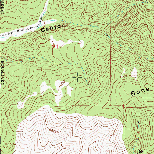 Topographic Map of Lasson Spring, UT