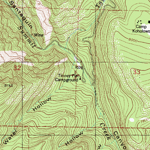 Topographic Map of Tinney Flat, UT