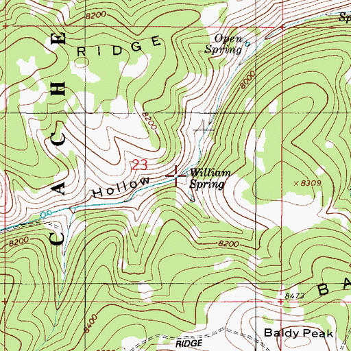 Topographic Map of William Spring, UT
