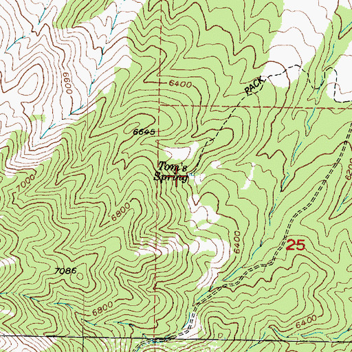 Topographic Map of Toms Spring, UT