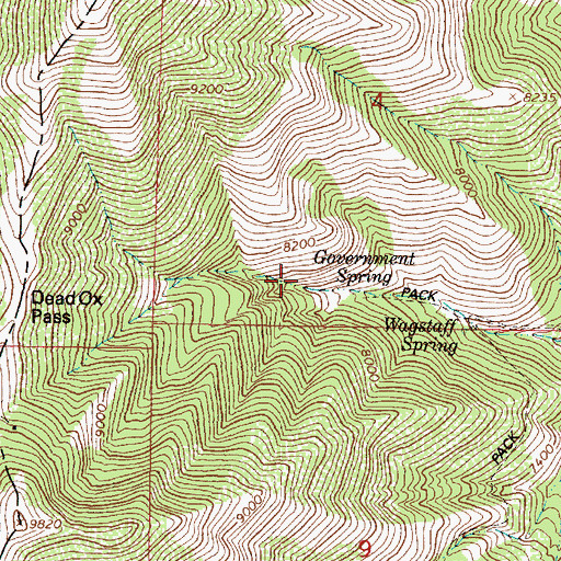 Topographic Map of Government Spring, UT