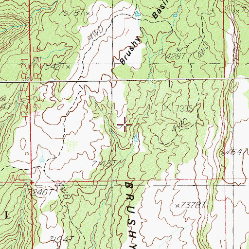Topographic Map of Brushy Basin, UT