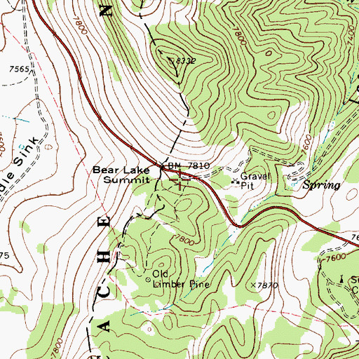 Topographic Map of Limber Pine Trail Head, UT