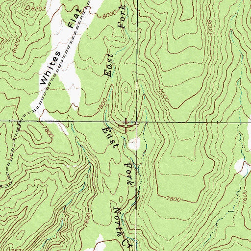 Topographic Map of Whites Flat, UT
