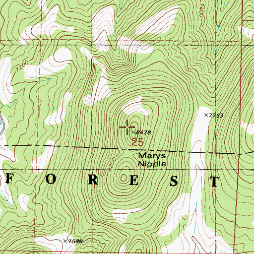 Topographic Map of Marys Nipples, UT