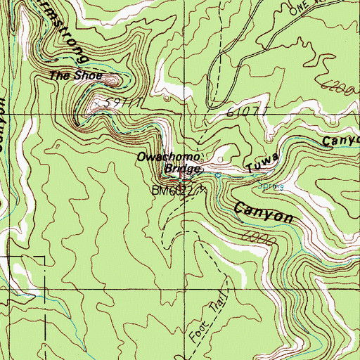 Topographic Map of Owachomo Bridge, UT