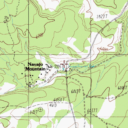 Topographic Map of Navajo Mountain, UT