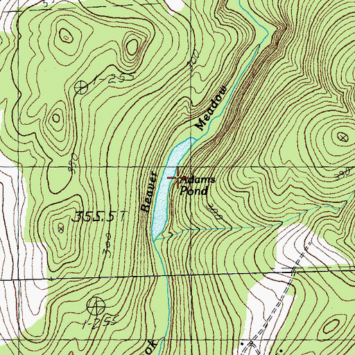 Topographic Map of Adams Pond, VT