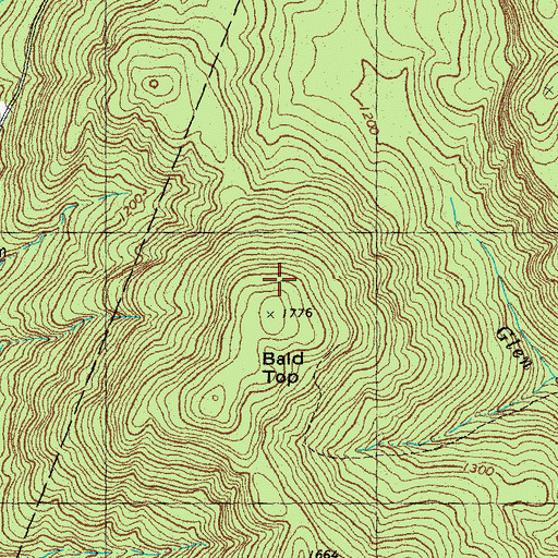 Topographic Map of Bald Top, VT