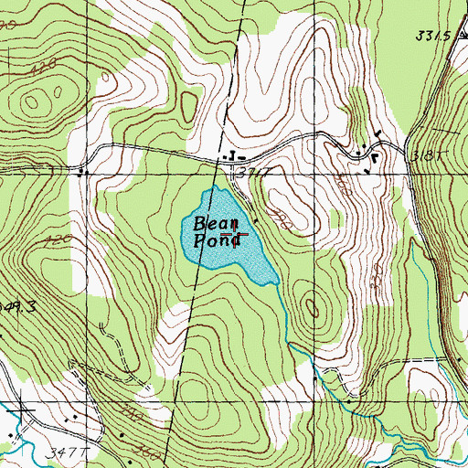 Topographic Map of Bean Pond, VT