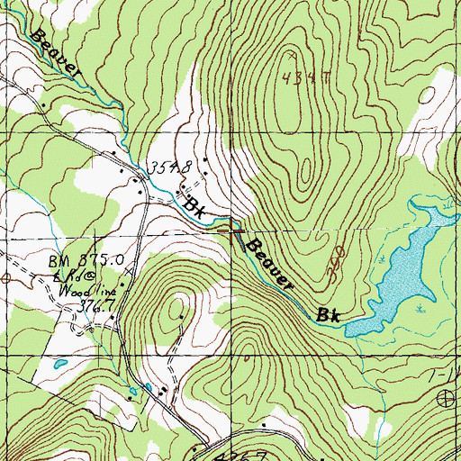 Topographic Map of Beaver Brook, VT