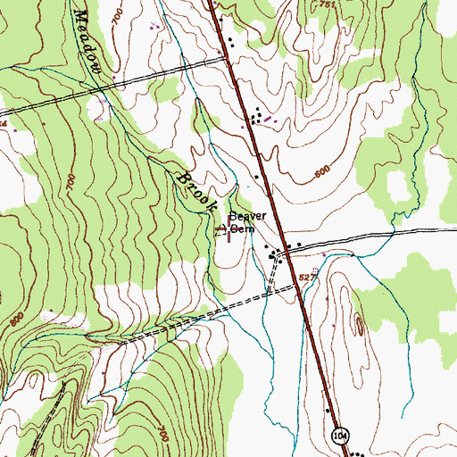 Topographic Map of Beaver Cemetery, VT