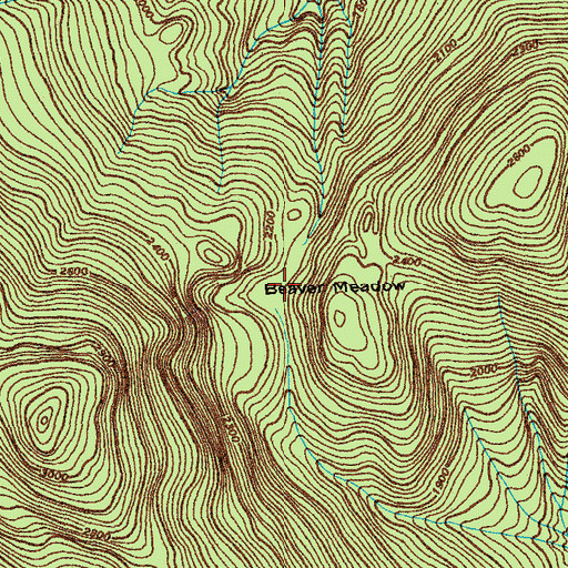 Topographic Map of Beaver Meadow, VT