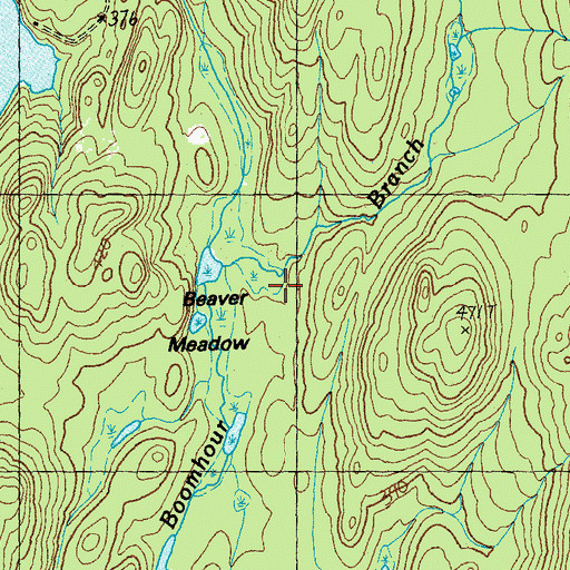 Topographic Map of Beaver Meadow, VT