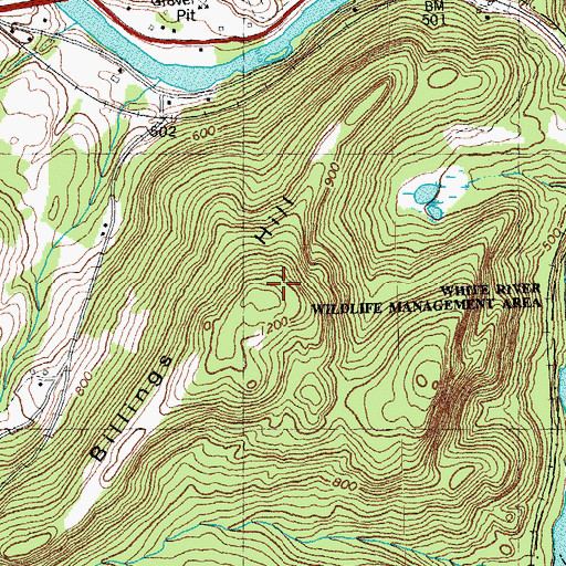 Topographic Map of Billings Hill, VT