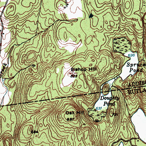 Topographic Map of Bishop Hill, VT