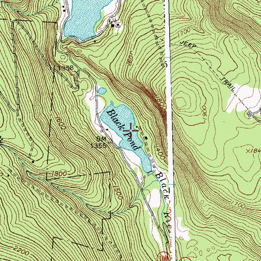 Topographic Map of Black Pond, VT
