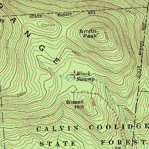 Topographic Map of Black Swamp, VT