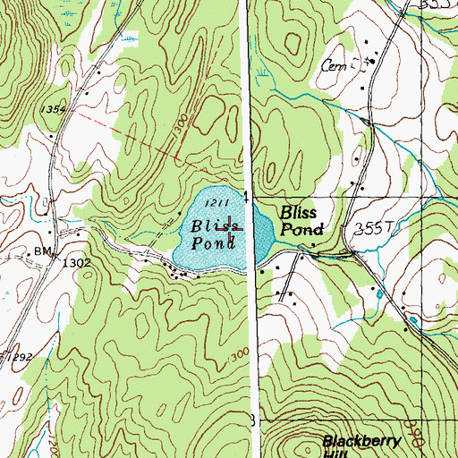 Topographic Map of Bliss Pond, VT