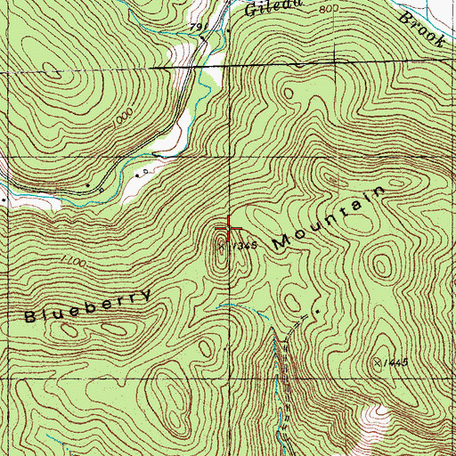 Topographic Map of Blueberry Mountain, VT