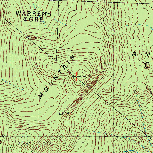 Topographic Map of Bluff Mountain, VT