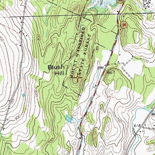 Topographic Map of Blush Hill, VT