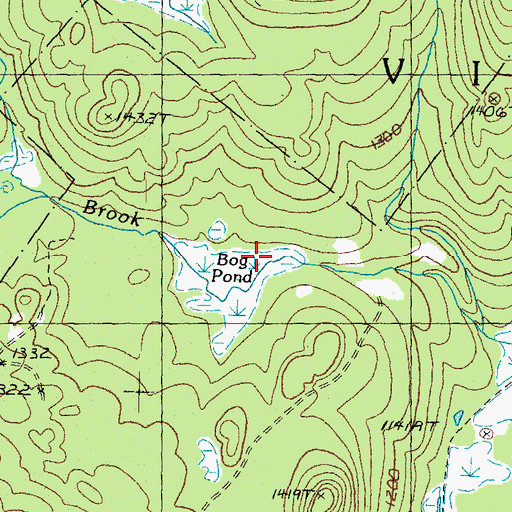 Topographic Map of Bog Pond, VT