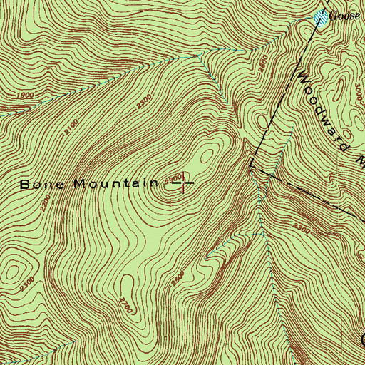 Topographic Map of Bone Mountain, VT