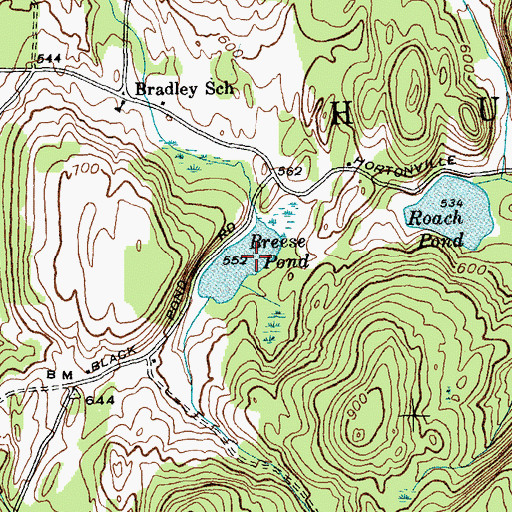 Topographic Map of Breese Pond, VT