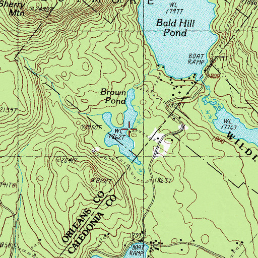 Topographic Map of Brown Pond, VT