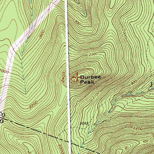 Topographic Map of Burbee Peak, VT
