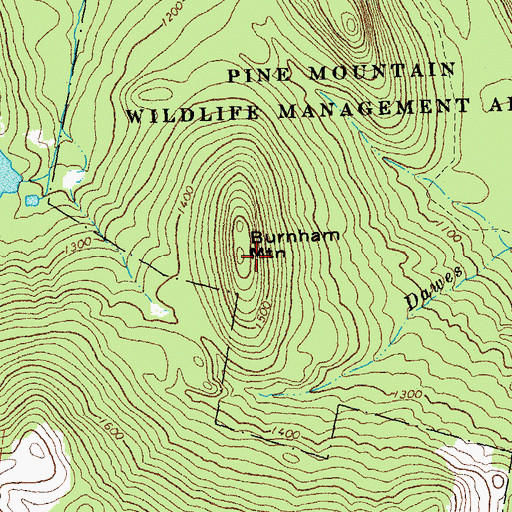 Topographic Map of Burnham Mountain, VT