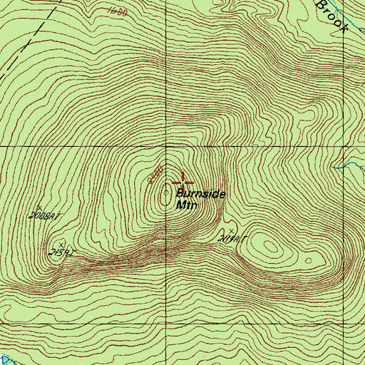 Topographic Map of Burnside Mountain, VT